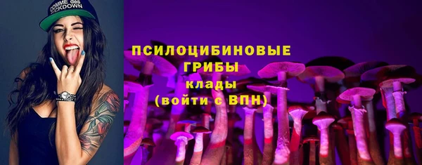 не бодяженный Медвежьегорск