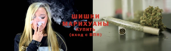 крисы Мегион