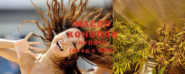 крисы Мегион