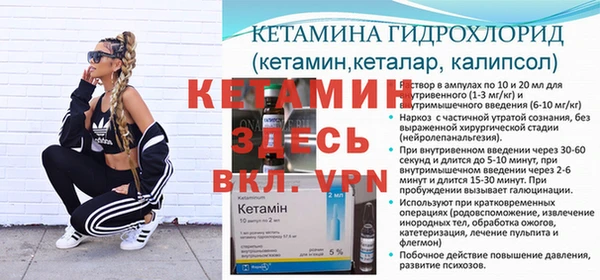 крисы Мегион