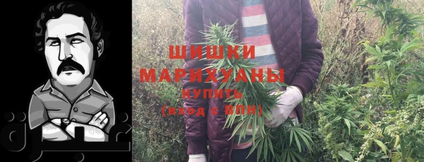 крисы Мегион