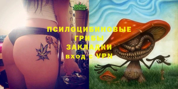 крисы Мегион