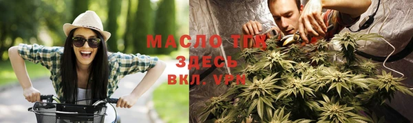 крисы Мегион