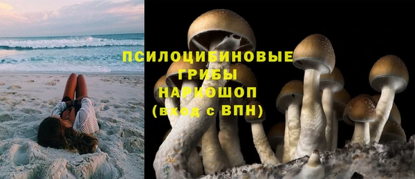 крисы Мегион