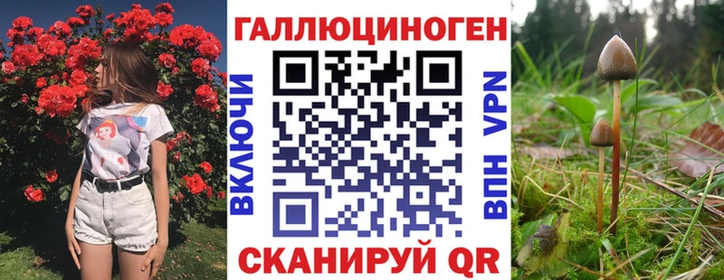 Купить закладки  Кизилюрт  Галлюциногенные грибы мухоморы 